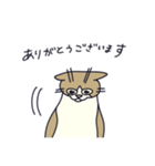 猫のにゃりー（個別スタンプ：5）