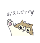 猫のにゃりー（個別スタンプ：15）