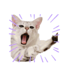 るどたび。（個別スタンプ：1）