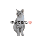 るどたび。（個別スタンプ：3）