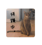 るどたび。（個別スタンプ：6）