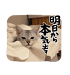 るどたび。（個別スタンプ：7）
