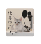 るどたび。（個別スタンプ：9）