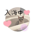 るどたび。（個別スタンプ：10）