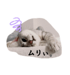 るどたび。（個別スタンプ：12）