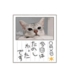 るどたび。（個別スタンプ：13）