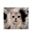 るどたび。（個別スタンプ：15）