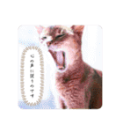 るどたび。（個別スタンプ：16）