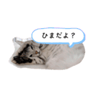 るどたび。（個別スタンプ：21）