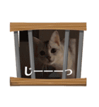 るどたび。（個別スタンプ：25）