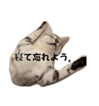 るどたび。（個別スタンプ：28）