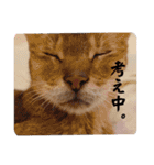 るどたび。（個別スタンプ：29）