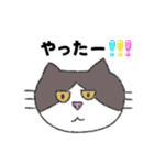 ゆる〜い猫ちゃん達のスタンプ（個別スタンプ：12）