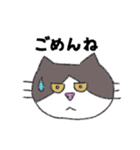 ゆる〜い猫ちゃん達のスタンプ（個別スタンプ：15）