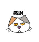 ゆる〜い猫ちゃん達のスタンプ（個別スタンプ：26）