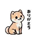 ほっこり柴犬兄弟！（個別スタンプ：1）