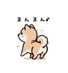 ほっこり柴犬兄弟！（個別スタンプ：3）