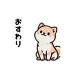 ほっこり柴犬兄弟！（個別スタンプ：4）