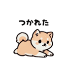 ほっこり柴犬兄弟！（個別スタンプ：5）