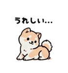 ほっこり柴犬兄弟！（個別スタンプ：6）
