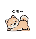 ほっこり柴犬兄弟！（個別スタンプ：7）