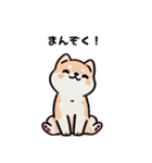 ほっこり柴犬兄弟！（個別スタンプ：9）