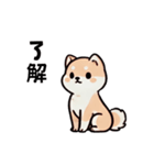 ほっこり柴犬兄弟！（個別スタンプ：10）