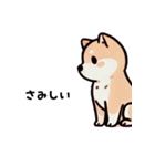 ほっこり柴犬兄弟！（個別スタンプ：11）