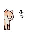 ほっこり柴犬兄弟！（個別スタンプ：12）