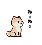 ほっこり柴犬兄弟！（個別スタンプ：13）