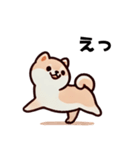 ほっこり柴犬兄弟！（個別スタンプ：18）