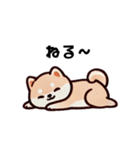 ほっこり柴犬兄弟！（個別スタンプ：20）