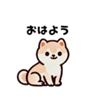ほっこり柴犬兄弟！（個別スタンプ：23）