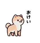 ほっこり柴犬兄弟！（個別スタンプ：24）