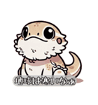 フトアゴのコンちゃん！（個別スタンプ：6）