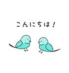 サザナミインコの日常会話（個別スタンプ：1）