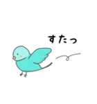 サザナミインコの日常会話（個別スタンプ：4）