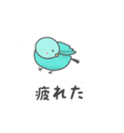 サザナミインコの日常会話（個別スタンプ：7）