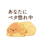 恋人に甘えたいかまってちゃん犬（個別スタンプ：3）