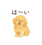 恋人に甘えたいかまってちゃん犬（個別スタンプ：11）
