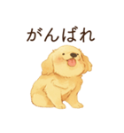 恋人に甘えたいかまってちゃん犬（個別スタンプ：21）