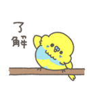 はっぴーセキセイインコ（個別スタンプ：5）