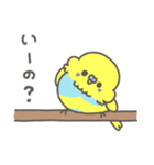 はっぴーセキセイインコ（個別スタンプ：29）