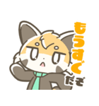 マジレッサーパンダのマジレススタンプ（個別スタンプ：12）
