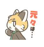 マジレッサーパンダのマジレススタンプ（個別スタンプ：16）