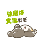 マジレッサーパンダのマジレススタンプ（個別スタンプ：28）