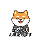 ビジネス向け Shiba Vibes（個別スタンプ：2）