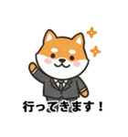 ビジネス向け Shiba Vibes（個別スタンプ：7）