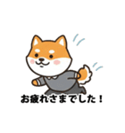 ビジネス向け Shiba Vibes（個別スタンプ：9）