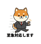 ビジネス向け Shiba Vibes（個別スタンプ：20）